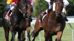 Silver Bowl Preview, Tips, Runners & Trends