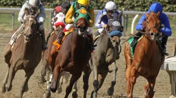 Burradon Stakes Preview, Tips, Runners & Trends (AWC Finals Day)