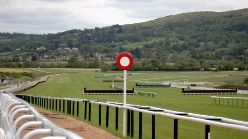 Cheltenham Gold Cup Preview, Tips, Runners & Trends (Cheltenham Festival)