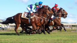 London Gold Cup Preview, Tips, Runners & Trends