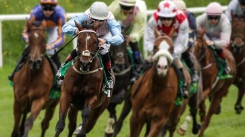 Fixed Odds On Horse Racing To Expand In New Jersey