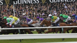 Dublin Chase Preview, Tips, Runners & Trends (Dublin Racing Festival)