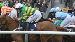 John Francome Novices Chase Preview, Tips, Runners & Trends