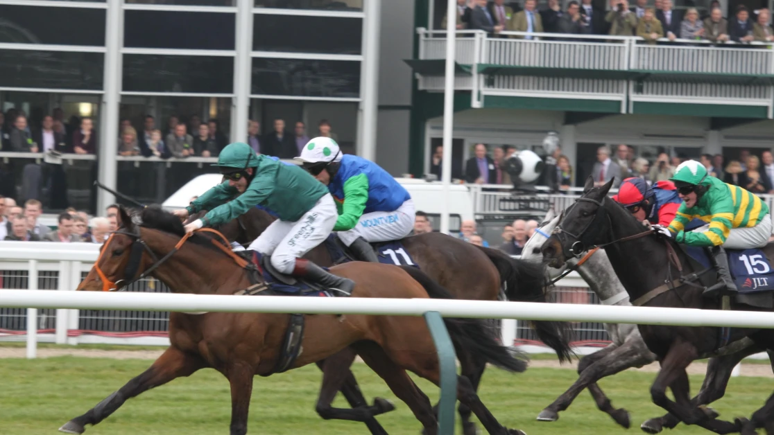 Denman Chase Preview, Tips, Runners & Trends Denman Chase Preview, Tips, Runners & Trends