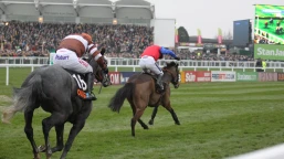 National Meeting 3m Handicap Hurdle Preview, Tips, Runners & Trends (Grand National Meeting)