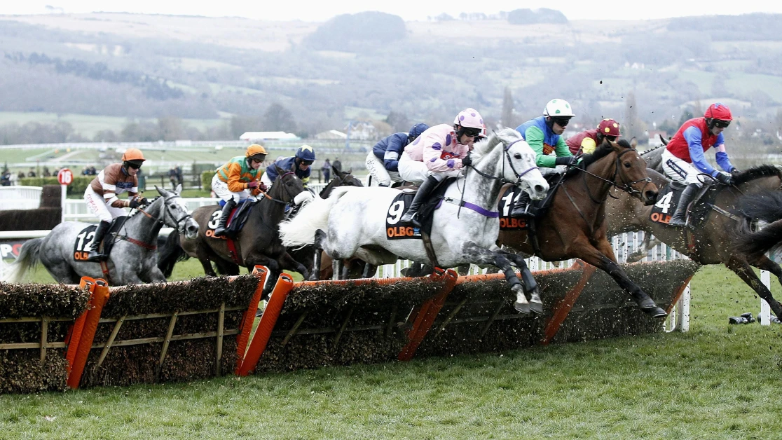 Long Distance Hurdle Preview, Tips, Runners & Trends Long Distance Hurdle Preview, Tips, Runners & Trends