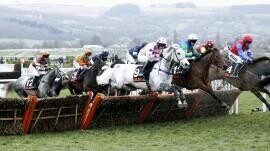 Long Distance Hurdle Preview, Tips, Runners & Trends