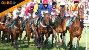 Cambridgeshire Meeting Sprint Handicap Preview, Tips, Runners & Trends (Cambridgeshire Meeting)