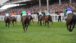 International Hurdle Preview, Tips, Runners & Trends (Festival Trials Day)