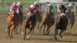All-Weather Sprint Championships Preview, Tips, Runners & Trends (AWC Finals Day)