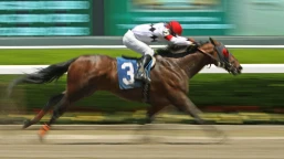 Lincoln Trial Preview, Tips, Runners & Trends