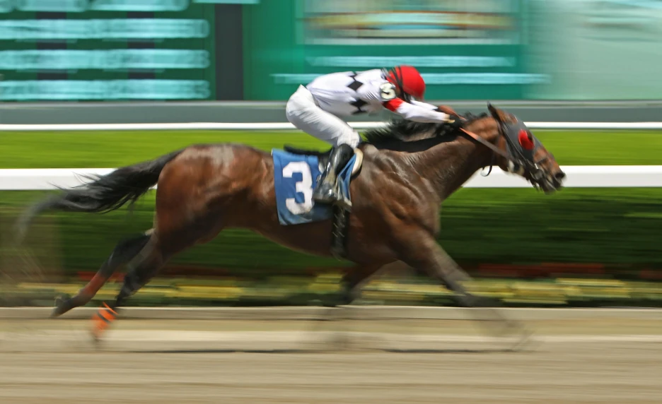 H. Allen Jerkens Memorial Stakes Betting Guide Strategies, Statistics