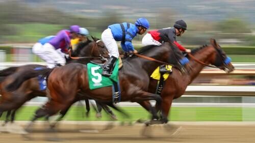 First Lady Stakes Betting Guide: Strategies, Statistics & Picks