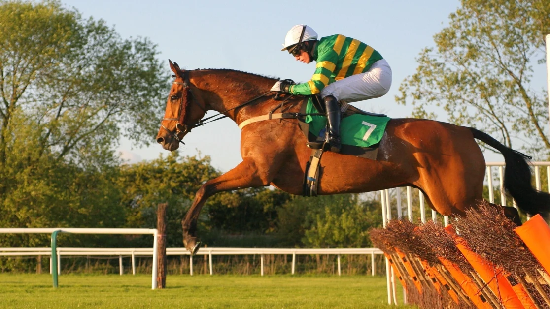 Gerry Feilden Hurdle Preview, Tips, Runners & Trends Gerry Feilden Hurdle Preview, Tips, Runners & Trends