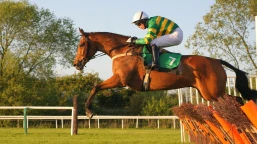 Scottish Stayers Novices Hurdle Preview, Tips, Runners & Trends (Scottish Cheltenham Trials)