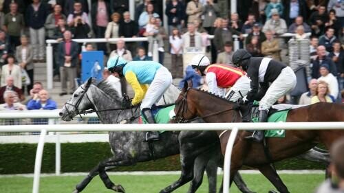 Jockey Club Rose Bowl Preview, Tips, Runners & Trends (Cambridgeshire Meeting)