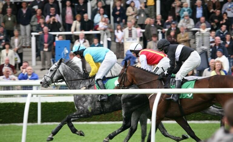 Jockey Club Rose Bowl Preview, Tips, Runners & Trends (Cambridgeshire Meeting)