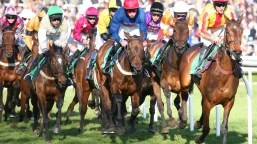 Churchill Tyres Handicap Preview, Tips, Runners & Trends (Dante Festival)