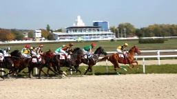 All-Weather Fillies & Mares Championships Preview, Tips, Runners & Trends (AWC Finals Day)