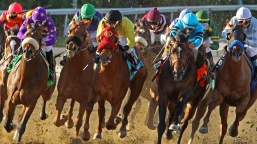 All-Weather 3 Year Old Championships Handicap Preview, Tips, Runners & Trends (AWC Finals Day)