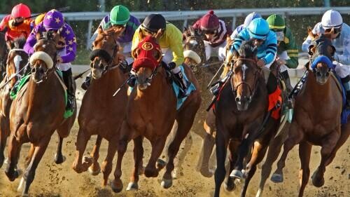 Del Mar Debutante Stakes Betting Guide: Strategies, Statistics & Picks