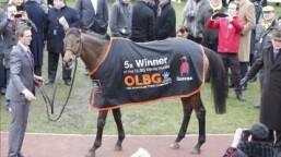 25 Lessons to Help Improve Your Horse Racing Betting.