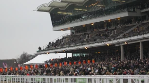 Turners Novices Hurdle Preview, Tips, Runners & Trends (Cheltenham Festival)