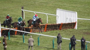 County Handicap Hurdle Preview, Tips, Runners & Trends (Cheltenham Festival)
