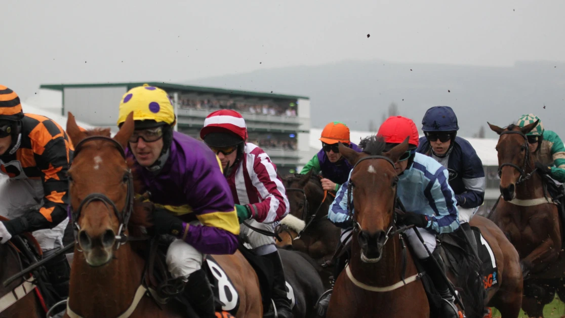 Long Distance Handicap Hurdle Preview, Tips, Runners & Trends Long Distance Handicap Hurdle Preview, Tips, Runners & Trends