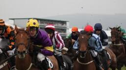 Morebattle Hurdle Preview, Tips, Runners & Trends