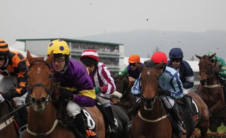 Long Distance Handicap Hurdle Preview, Tips, Runners & Trends