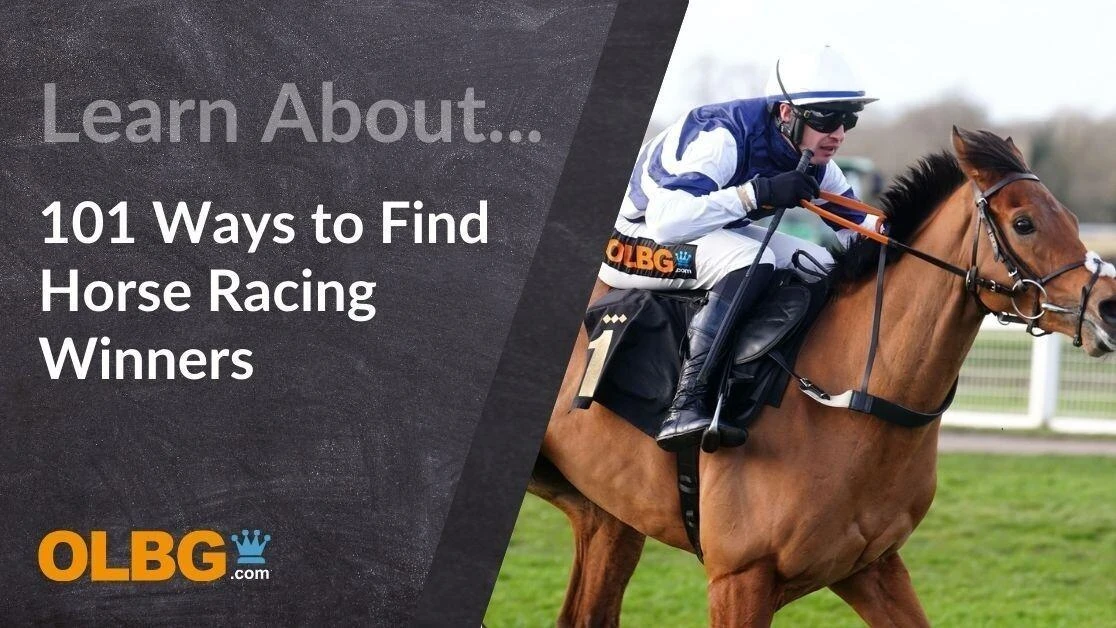 101 Ways to find Winners in Horse Racing 101 Ways to find Winners in Horse Racing
