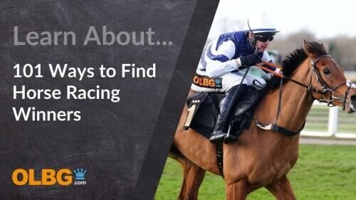 101 Ways to find Winners in Horse Racing