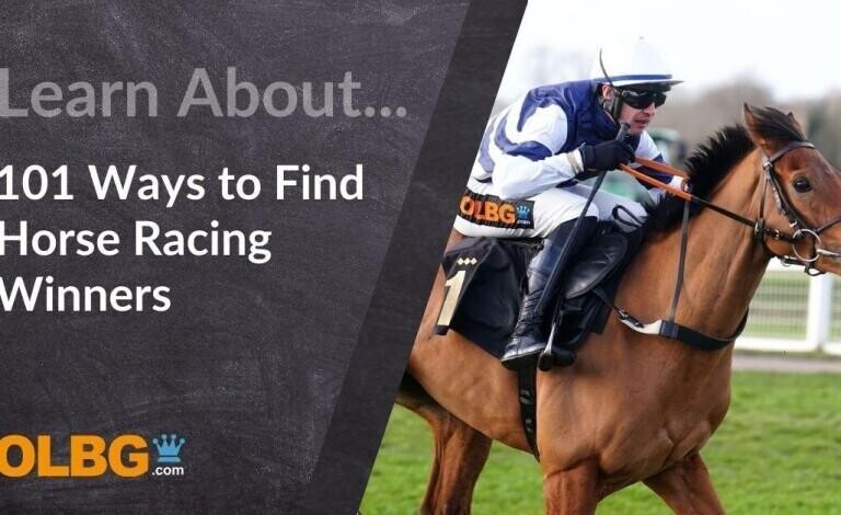 101 Ways to find Winners in Horse Racing