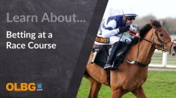 Mastering the Art of Betting on the Race Course