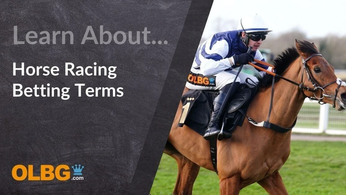 Horse Racing Betting Terms: Ultimate Guide Horse Racing Betting Terms: Ultimate Guide