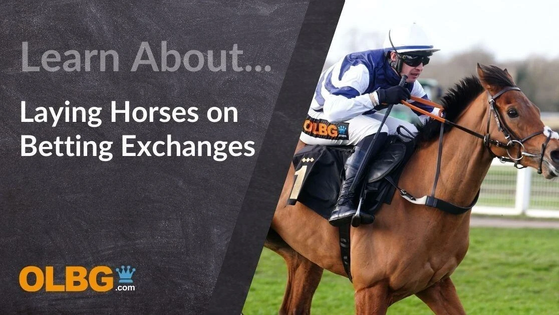 The Definitive Guide to Laying Horses The Definitive Guide to Laying Horses