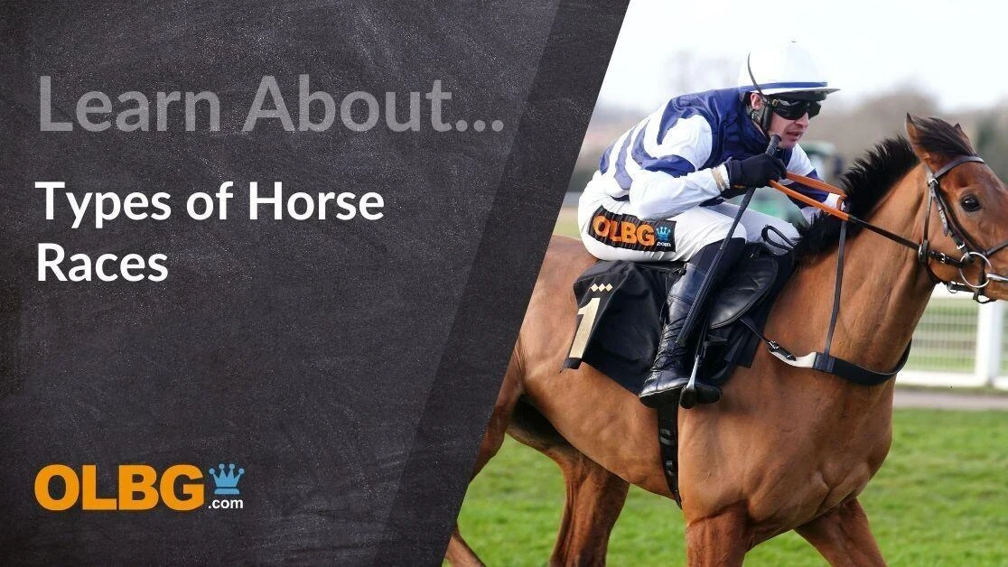 Different Types of Horse Races in the UK and Ireland Different Types of Horse Races in the UK and Ireland