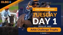Arkle Chase Free Bets | Best Arkle Challenge Trophy Offers For Tuesday