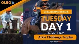 Arkle Chase Free Bets | Best Arkle Challenge Trophy Offers For Tuesday