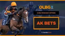 AK Bets go Best Price on Supreme Novice Hurdle Favourite Kopek Des Bordes