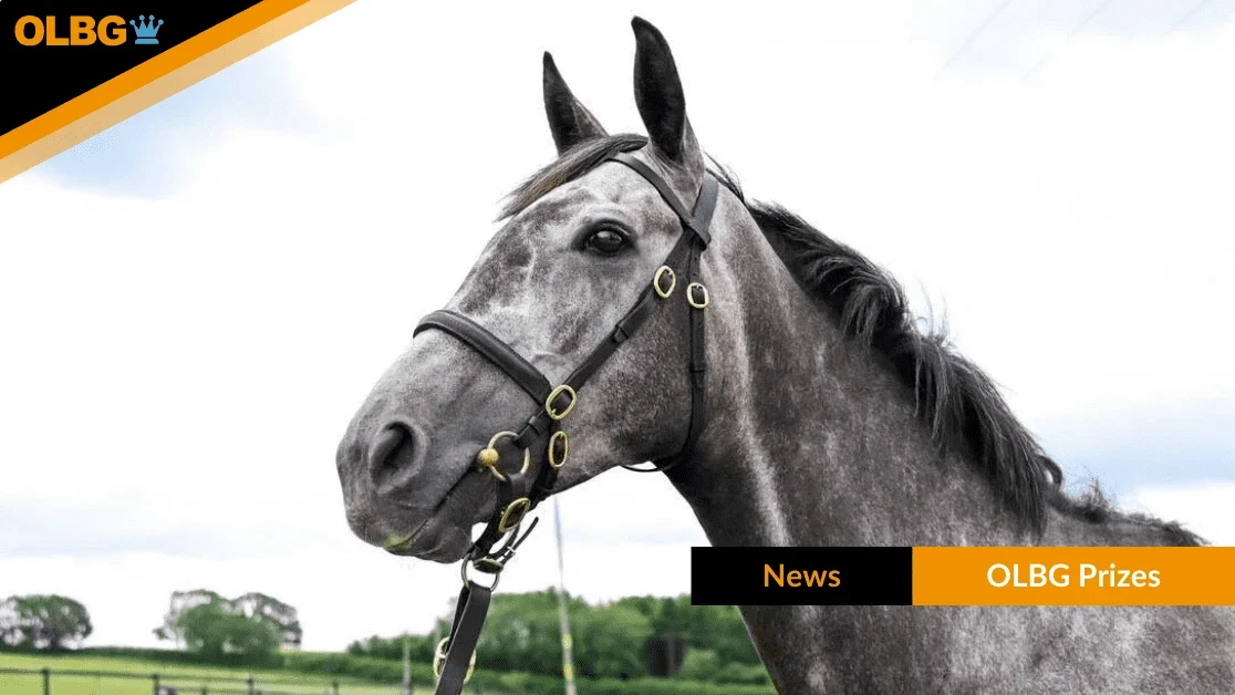 Win a 1% Share in Racehorse Boombox - WORTH UP TO £2,495 | OLBG Prizes Win a 1% Share in Racehorse Boombox - WORTH UP TO £2,495 | OLBG Prizes