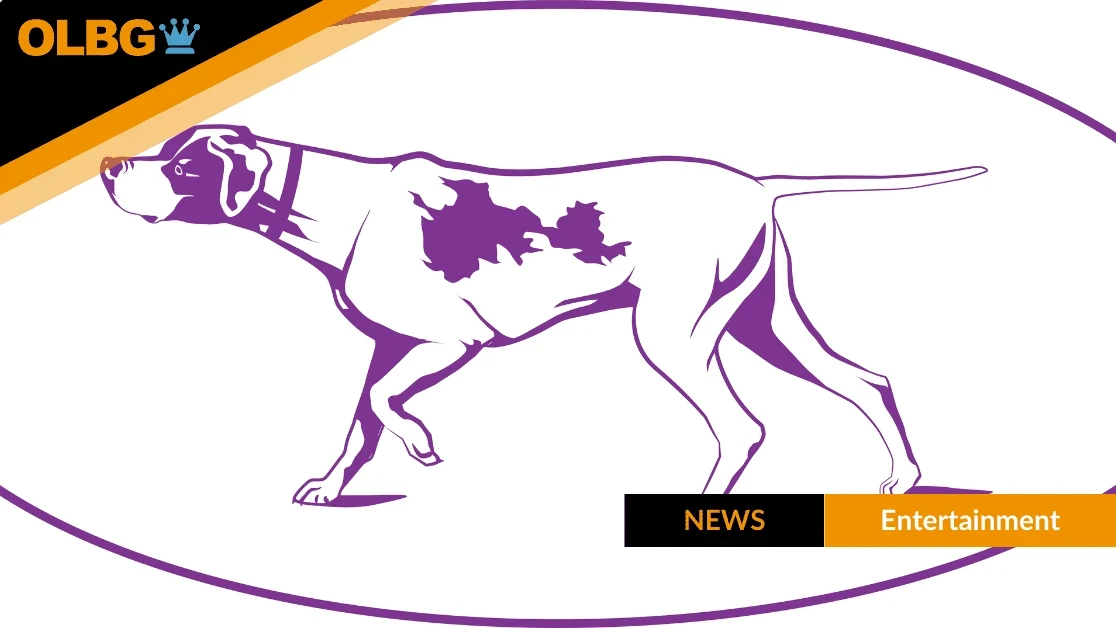 Westminster Dog Show Betting Odds: Terrier breed is the 3/1 favourite to win this year's Westminster Dog Show with bookies offering odds on the prestigious event! Westminster Dog Show Betting Odds: Terrier breed is the 3/1 favourite to win this year's Westminster Dog Show with bookies offering odds on the prestigious event!