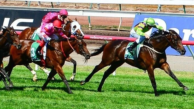 Australasian Oaks Preview, Tips, Runners & Trends Australasian Oaks Preview, Tips, Runners & Trends