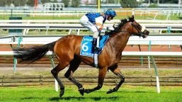 Robert Sangster Stakes Preview, Tips, Runners & Trends
