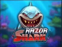razor sharks lot image