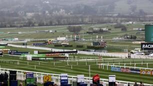 Timeform Novices Handicap Chase Preview, Tips, Runners & Trends (Festival Trials Day)