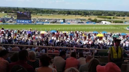 Henry VIII Novices Chase Preview, Tips, Runners & Trends