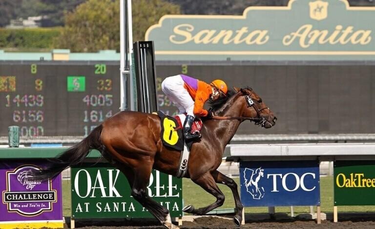 Santa Anita Derby Betting Guide: Strategies, Statistics & Picks