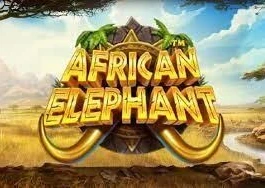 African Elephant